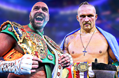 Next Usyk Fight