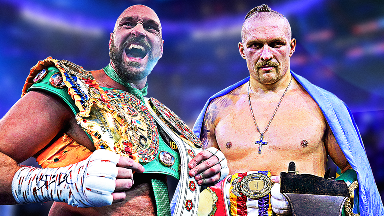 Next Usyk Fight